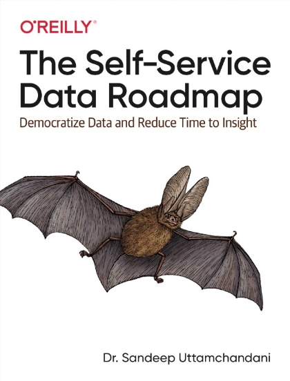 The Self-Service Data Roadmap