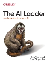 The AI Ladder