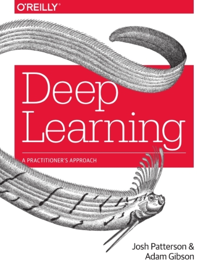 Deep Learning: A Practitioner’s Approach