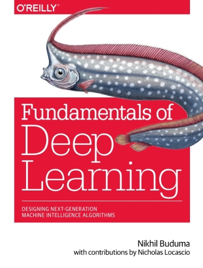 Fundamentals of Deep Learning