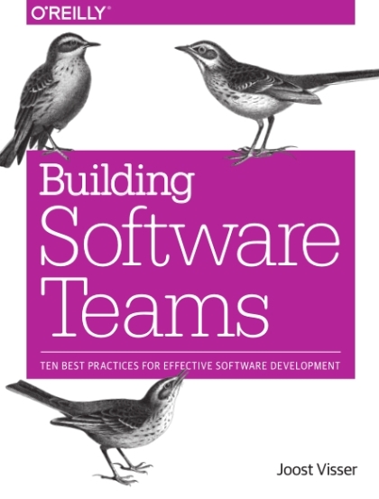 Building Software Teams