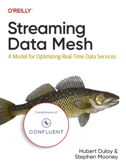 Streaming Data Mesh
