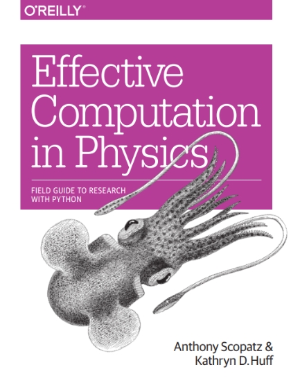 Effective Computation in Physics
