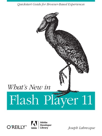 What's New in Flash Player 11